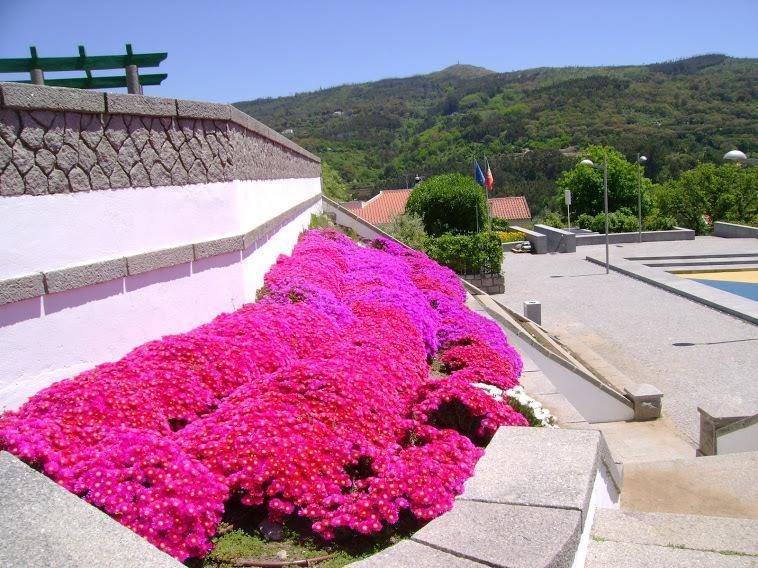 Miradouro Da Serra Monchique Luaran gambar